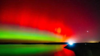Northern lights could be visible in a dozen states. See where.
