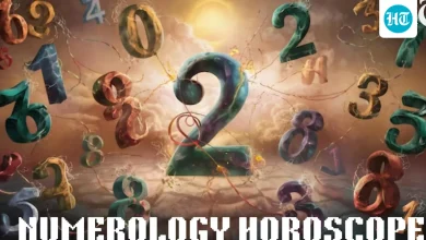 Numerology Horoscope Today for December 7, 2025: Tips to overcome the challenges based on your birth numbers | Astrology