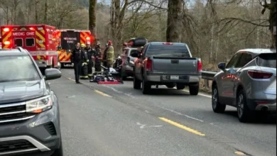 One person killed, another injured from tree falling on vehicle