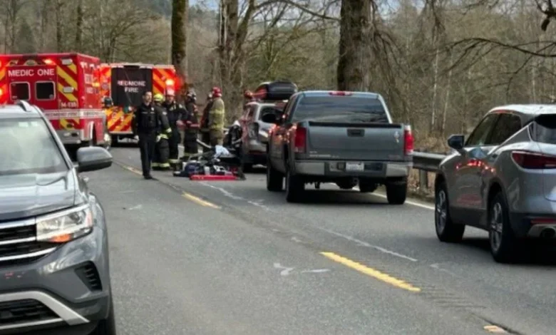 One person killed, another injured from tree falling on vehicle