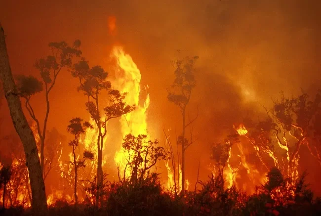 Out of control fire threatens homes through Merriwa Rivery Valley: Act now!