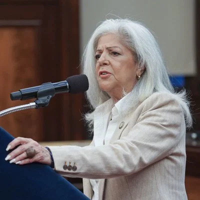 Paladino slammed for Islamophobic statements