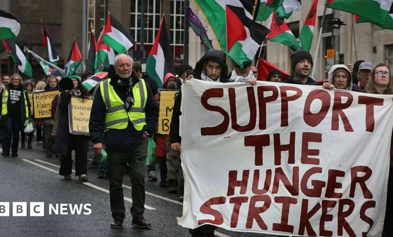 Palestine Action hunger strikers call for urgent meeting with ministers