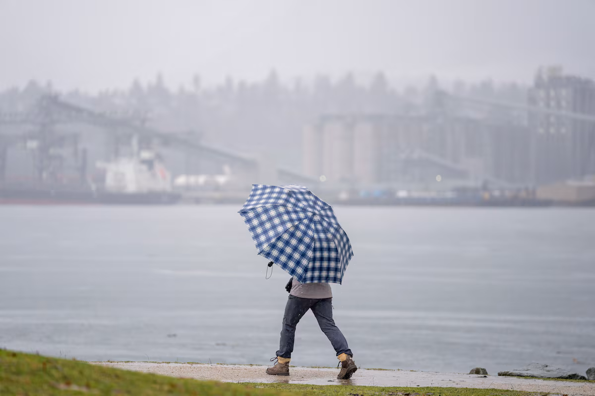 Parts of B.C. brace for more rain, while snow is expected in mountainous regions
