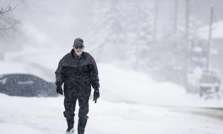 Parts of northern Alberta slated to see upwards of 30 cm of snow by Tuesday