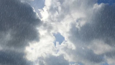 Patchy rain this morning: Moderate showers by afternoon