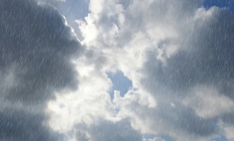 Patchy rain this morning: Moderate showers by afternoon