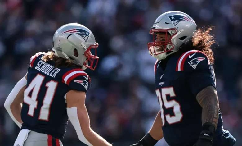 Patriots game day roster: Pats in best possible shape for Bills game