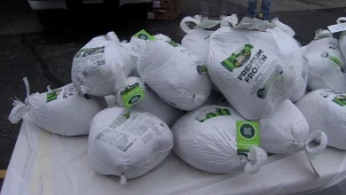 Patriots players help hand out turkeys at 2 Chefs in Worcester