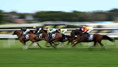 Pattern’s last chance looms as Racing Australia board meets
