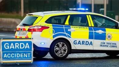 Pedestrian, 70s, killed in south Dublin collision