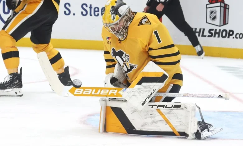 Penguins Recall Sergei Murashov On An Emergency Basis