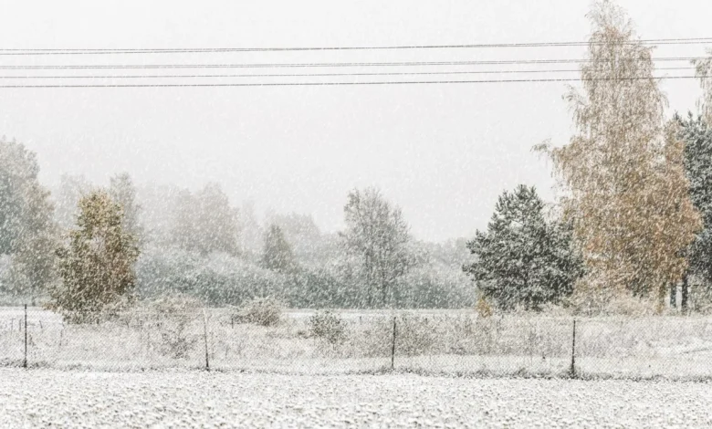 Persistent snow squalls are forecast. Visibility will be significantly reduced