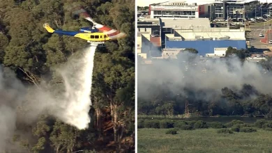 Perth weather: Several blazes break out amid heat, wind, lighting warning as authorities issue fire risk