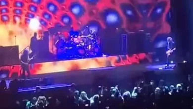 Phone ban at Tool's Adelaide concerts sees fan thrown out