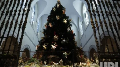 Photo: Christmas Tree and Neapolitan Baroque Creche at Met Fifth Avenue - NYP20251201120