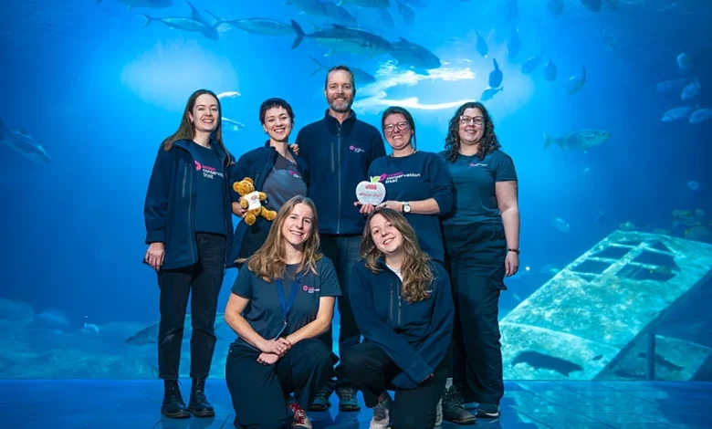 Plymouth Newspaper Headlines For The Week