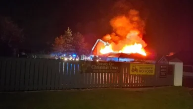 Popular Ayrshire garden centre burns down after being engulfed in huge blaze