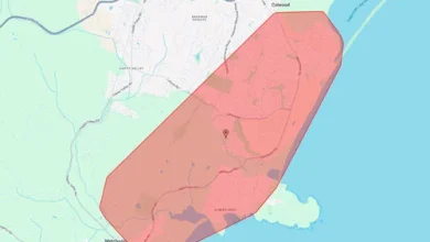 Power Outage Affects Over 3,000 Customers in Greater Victoria Due to Stormy Weather