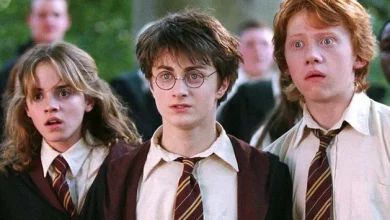 Price rises, cinemas closing and a blow to Sky — three big questions for Irish viewers from $83bn Netflix takeover of Warner Brothers