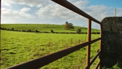 Proposed Bill Banning Foxhunting Should be Opposed