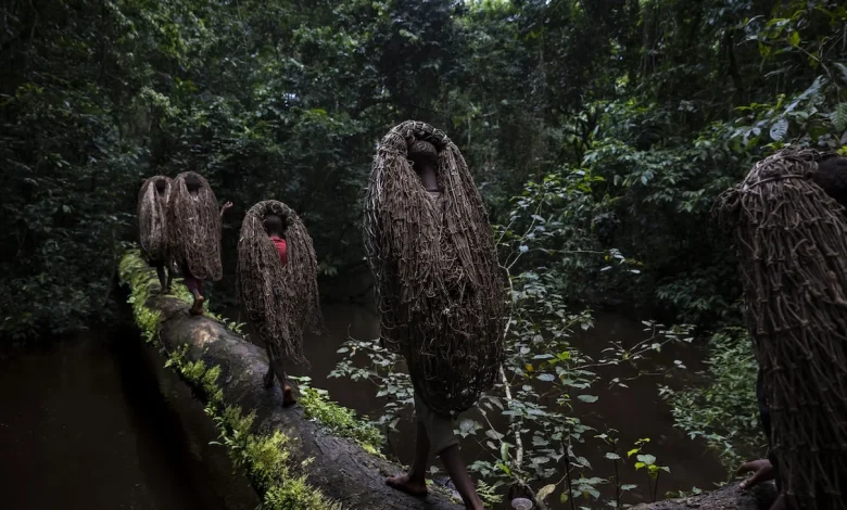 Protected areas in Africa are vital but local perceptions vary (commentary)