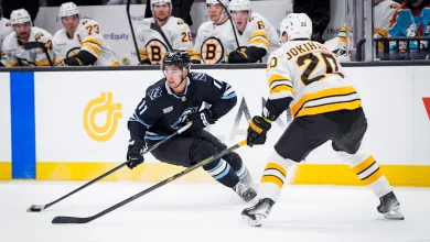 Public Skate: Bruins vs. Mammoth