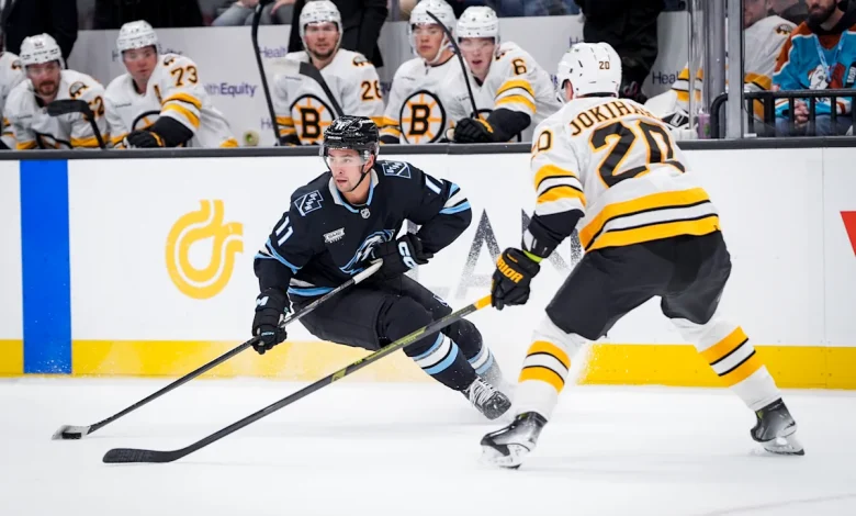 Public Skate: Bruins vs. Mammoth