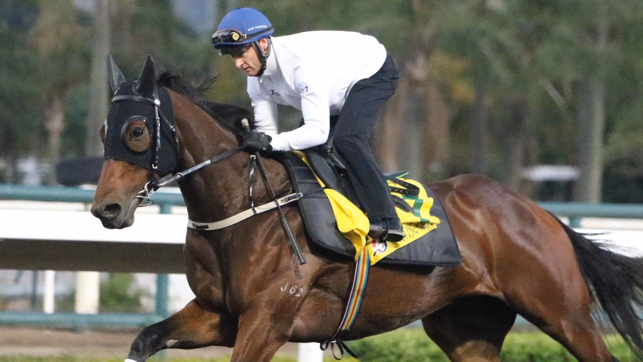 Purton’s one job on Ka Ying Rising in Hong Kong Sprint