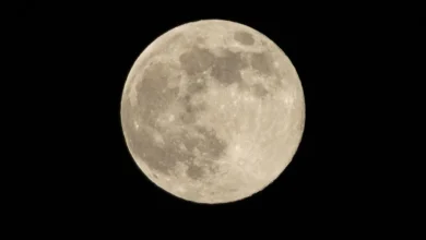 Qu’est-ce qu’une «superlune», ce phénomène qui a brillé dans le ciel dans la nuit de jeudi à vendredi?
