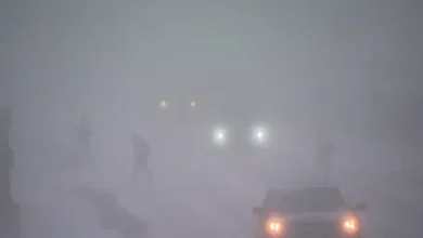 RCMP warn against travel on all Alberta roads amid whiteout conditions