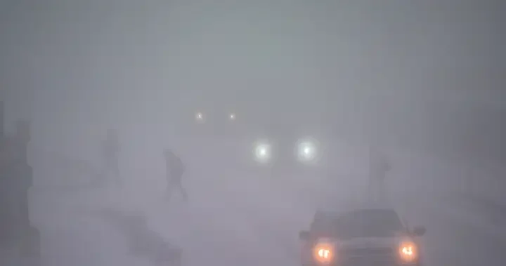 RCMP warn against travel on all Alberta roads amid whiteout conditions