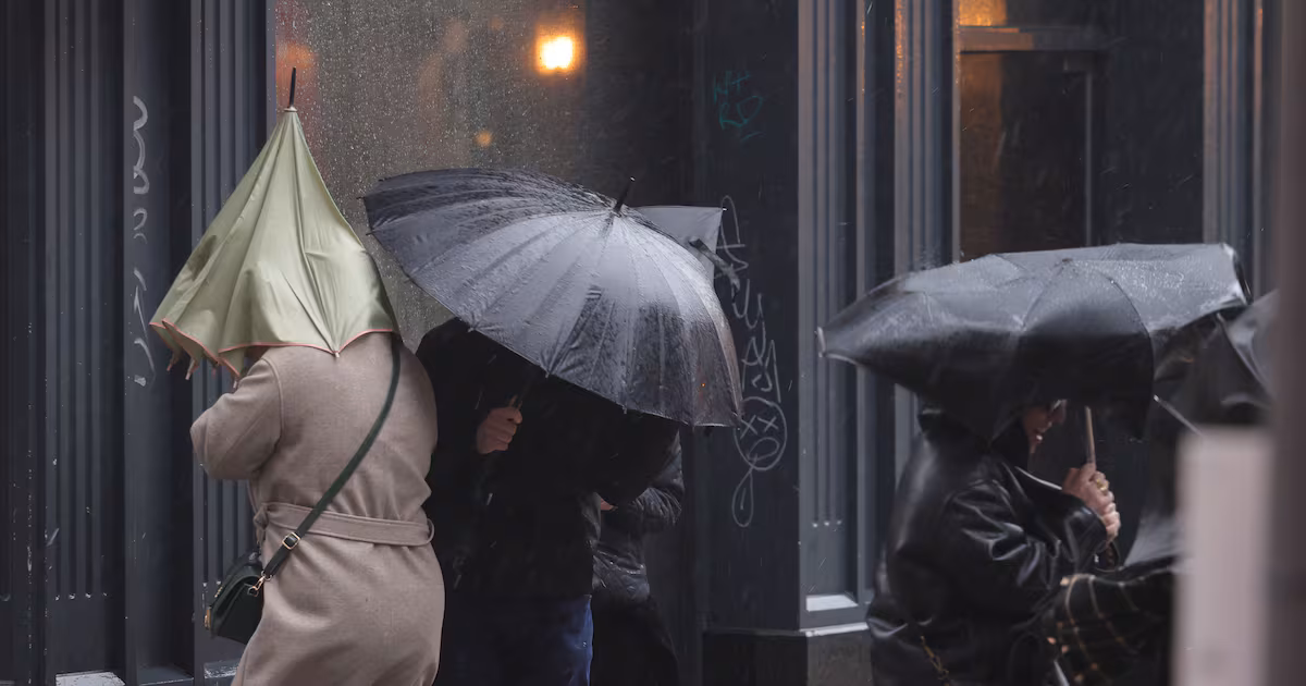 Rain and wind warnings issued for south and east throughout Friday