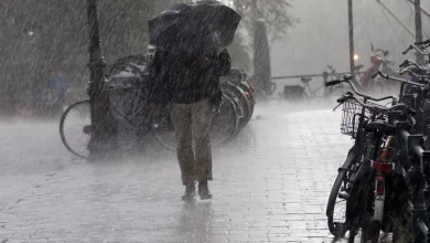 Rainy, tomorrow: Sunny then patchy rain