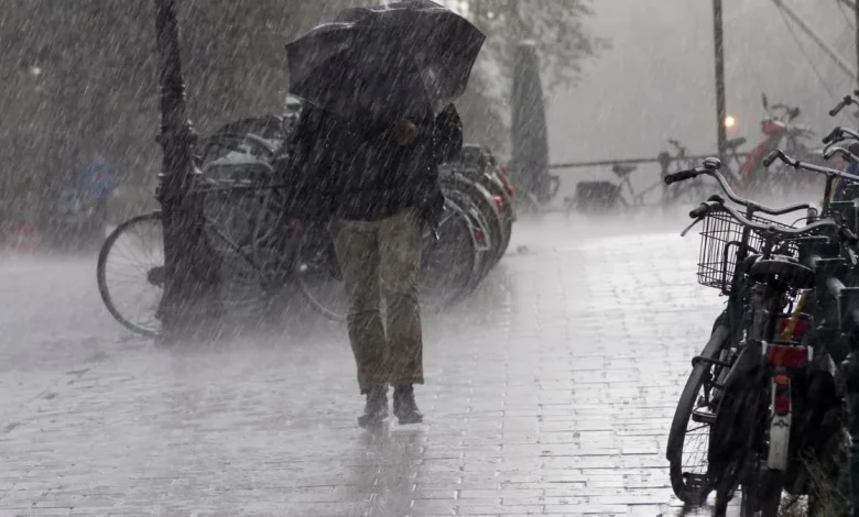 Rainy, tomorrow: Sunny then patchy rain