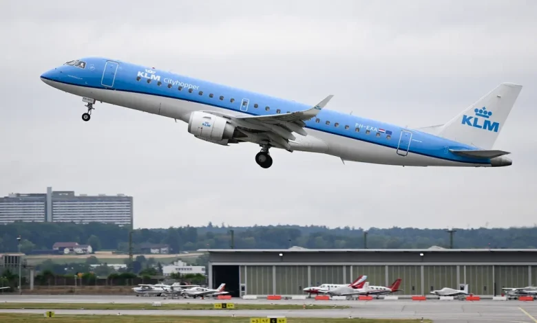 Rat on a plane: Stowaway critter found in cabin cancels flight