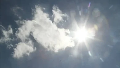 Red Deer sets record for warmest Dec. 15