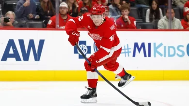 Red Wings Place Former High Draft Pick On Waivers