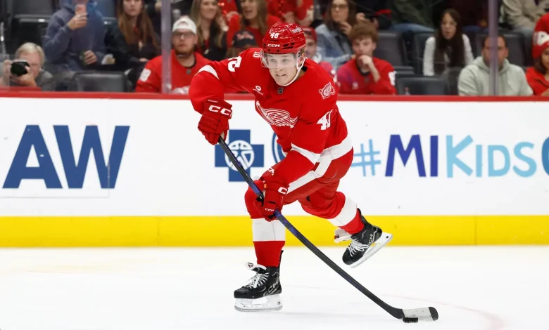 Red Wings Place Former High Draft Pick On Waivers