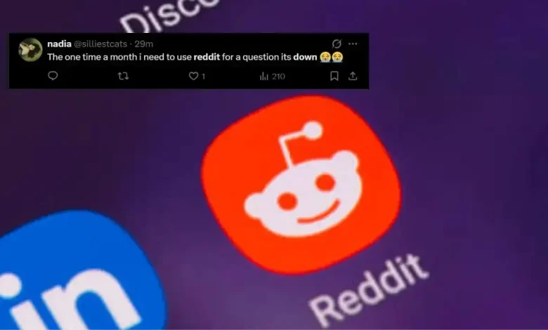 Reddit Crashes Worldwide; Users Panic, Memes Explode On X: 'My Life Is Falling Apart'