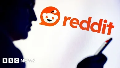 Reddit launches High Court challenge to Australia's social media ban for kids