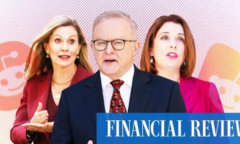 Reddit prepares challenge to Albanese’s social media age ban in court