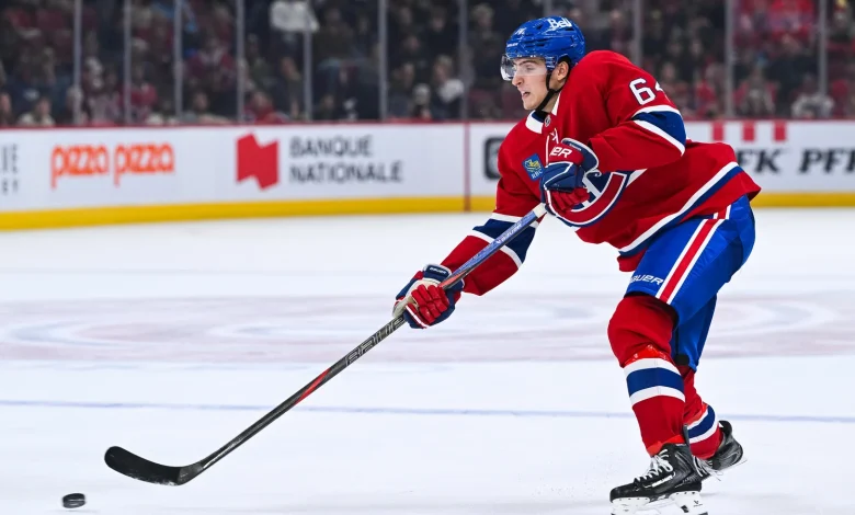 Reinbacher Gaining Momentum In The AHL