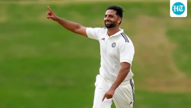 Rejected by 5 IPL teams, no spikes to play, Kashmir's Dale Steyn now Mitchell Starc's partner with INR 8.4 crore deal | Cricket