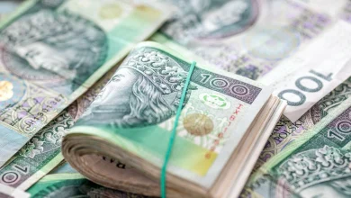 Rekordowe oszczędności Polaków w PPK. Wielu "na czysto" ma już kilkanaście tysięcy