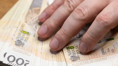 Rekordowy wzrost na rachunkach w PPK. Eksperci ostrzegają jednak przed pułapką