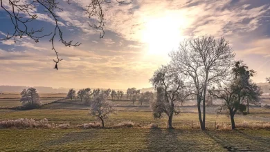 Relief from the bitter cold into midweek