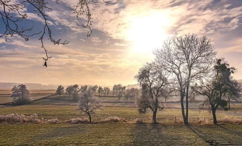 Relief from the bitter cold into midweek