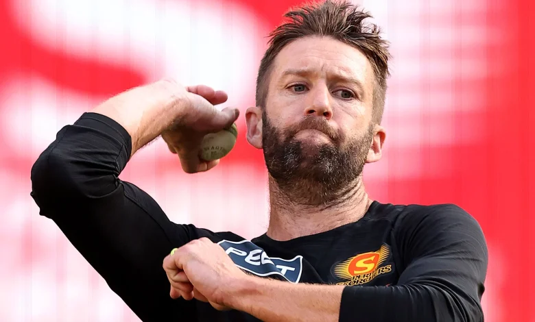 Renegades secure seasoned Tye to cover fast bowling gap