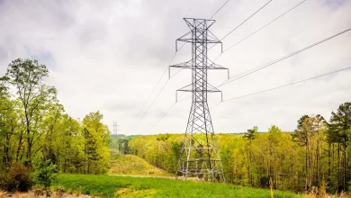 Report reveals concerning side effect of cryptocurrency industry in US: 'Does not generate'